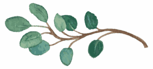 an illustration of a branch
