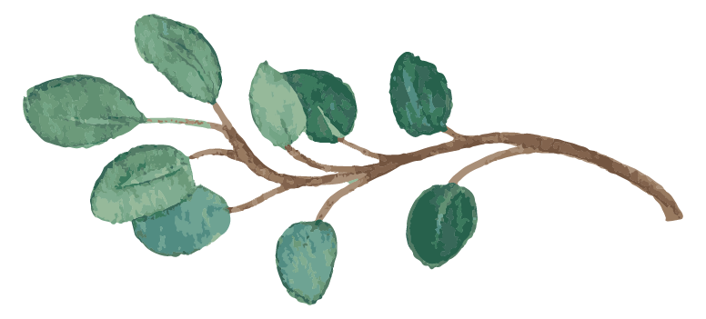 an illustration of a branch