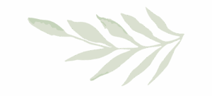 an illustration of a leaf