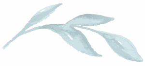 an illustration of a leaf