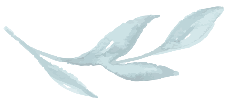 an illustration of a leaf